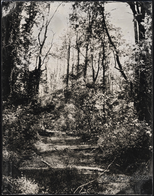 Landscapes and Architecture