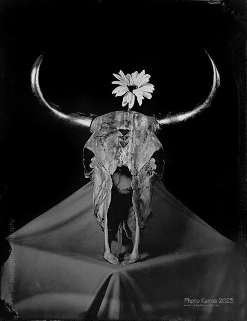 Wet Collodion Process