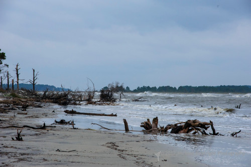 Sapelo Island