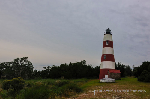 Sapelo 2012