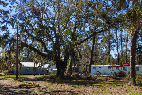 Sapelo 2018
