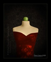 Join the Analog Photography Movement!